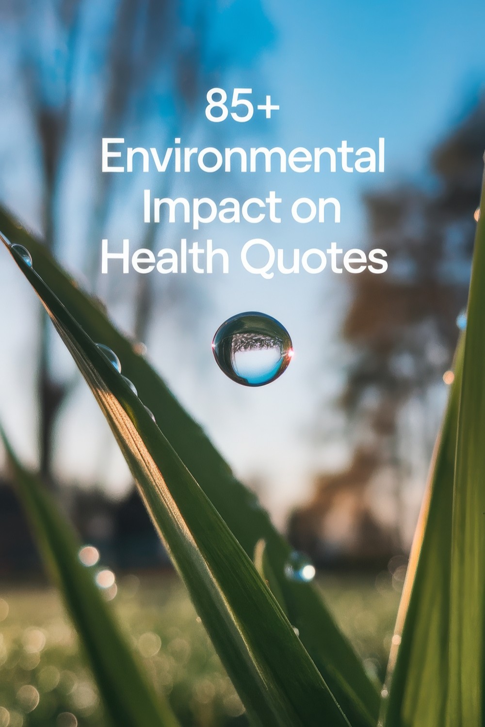 85+ Environmental Impact on Health Quotes: Your Planet, Your Health